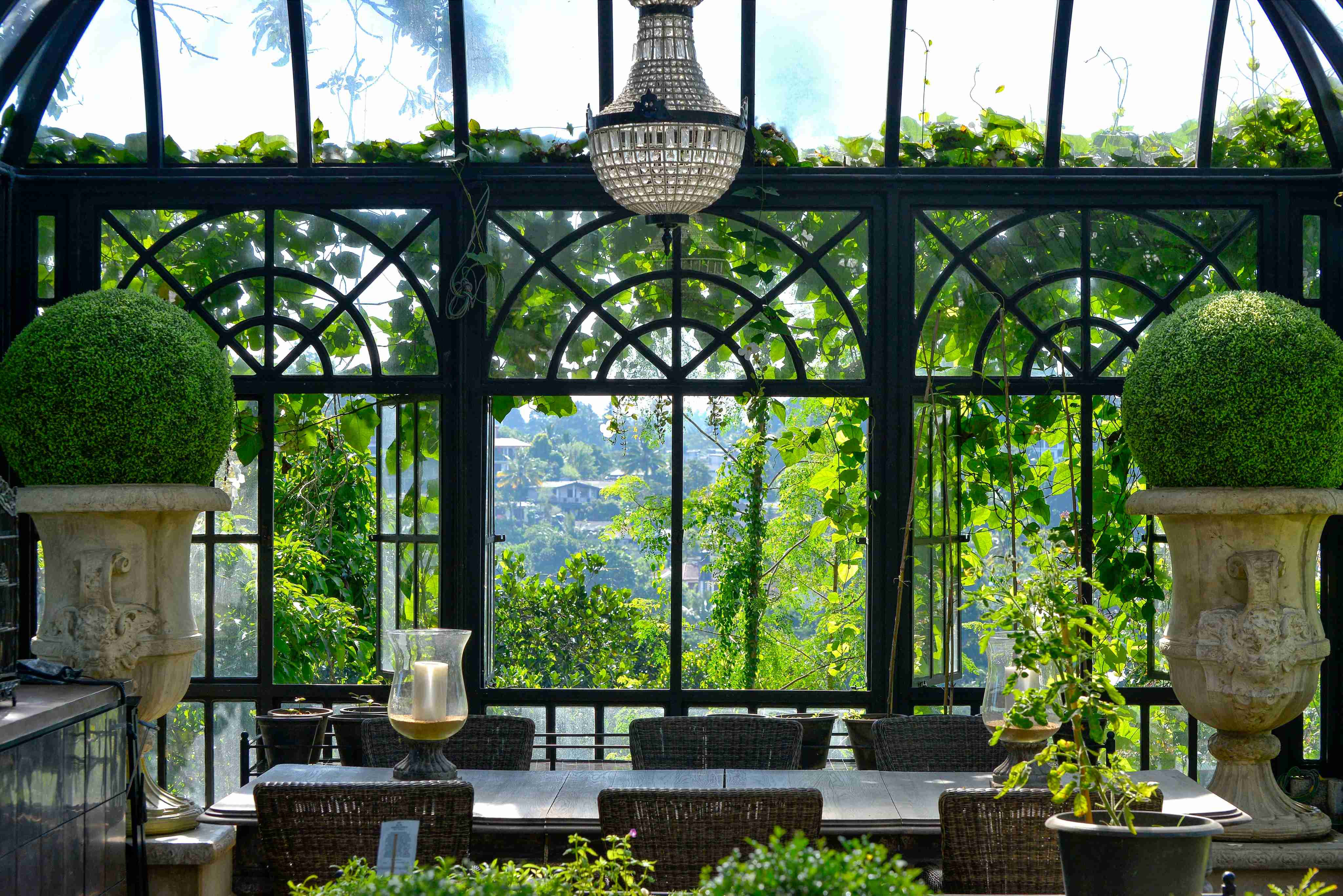 Conservatory in Kandy - Image 5